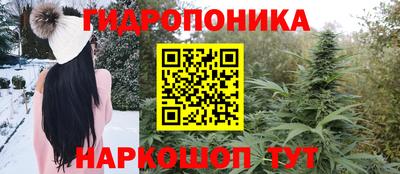 прущие крисы Пенза